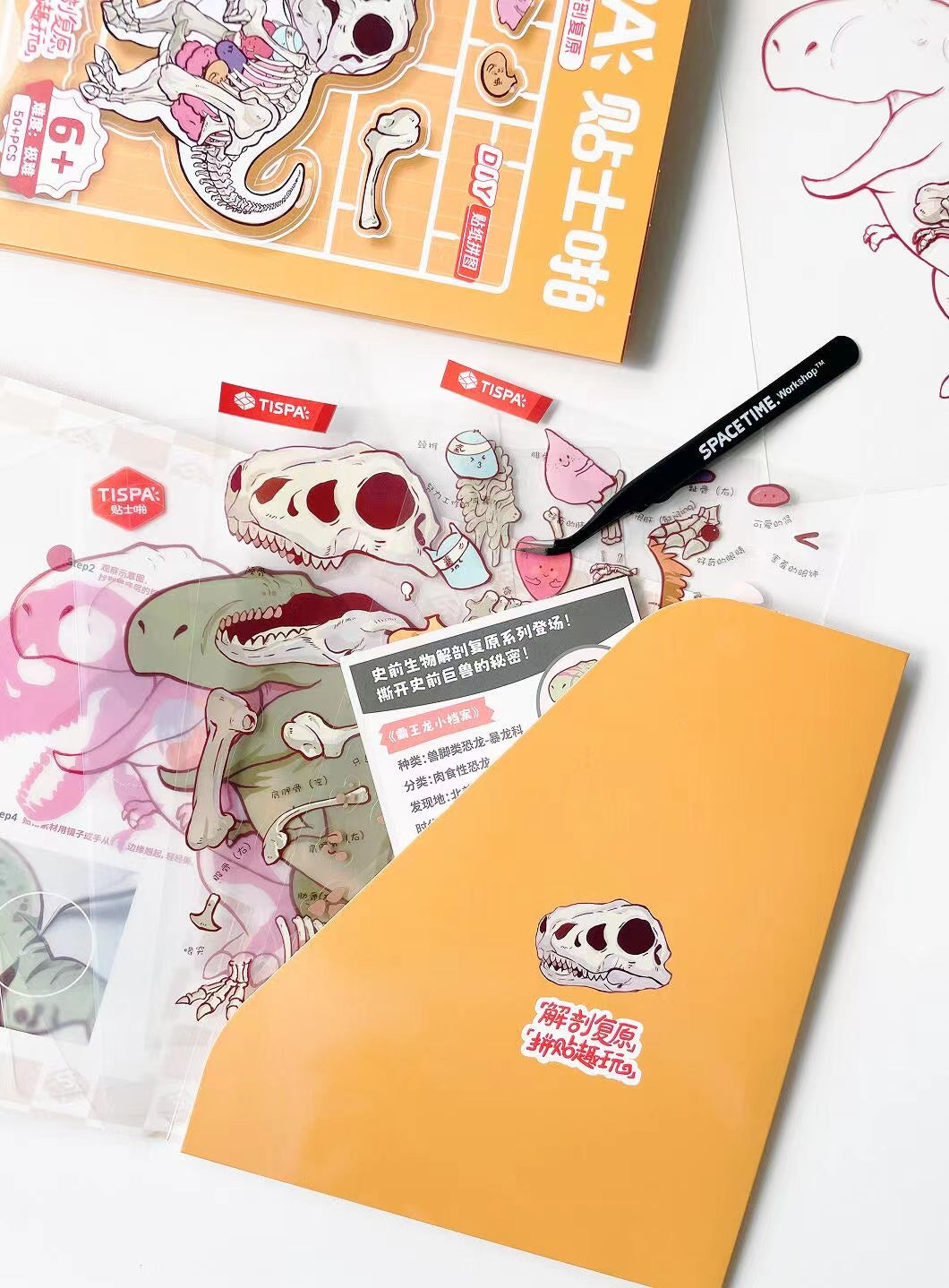 DIY Animal Dissection and Restoration Sticker Game