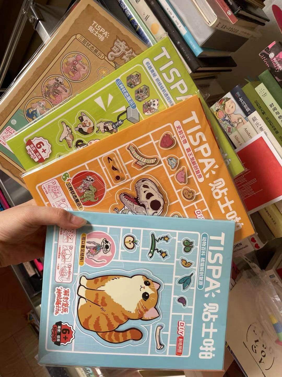 DIY Animal Dissection and Restoration Sticker Game