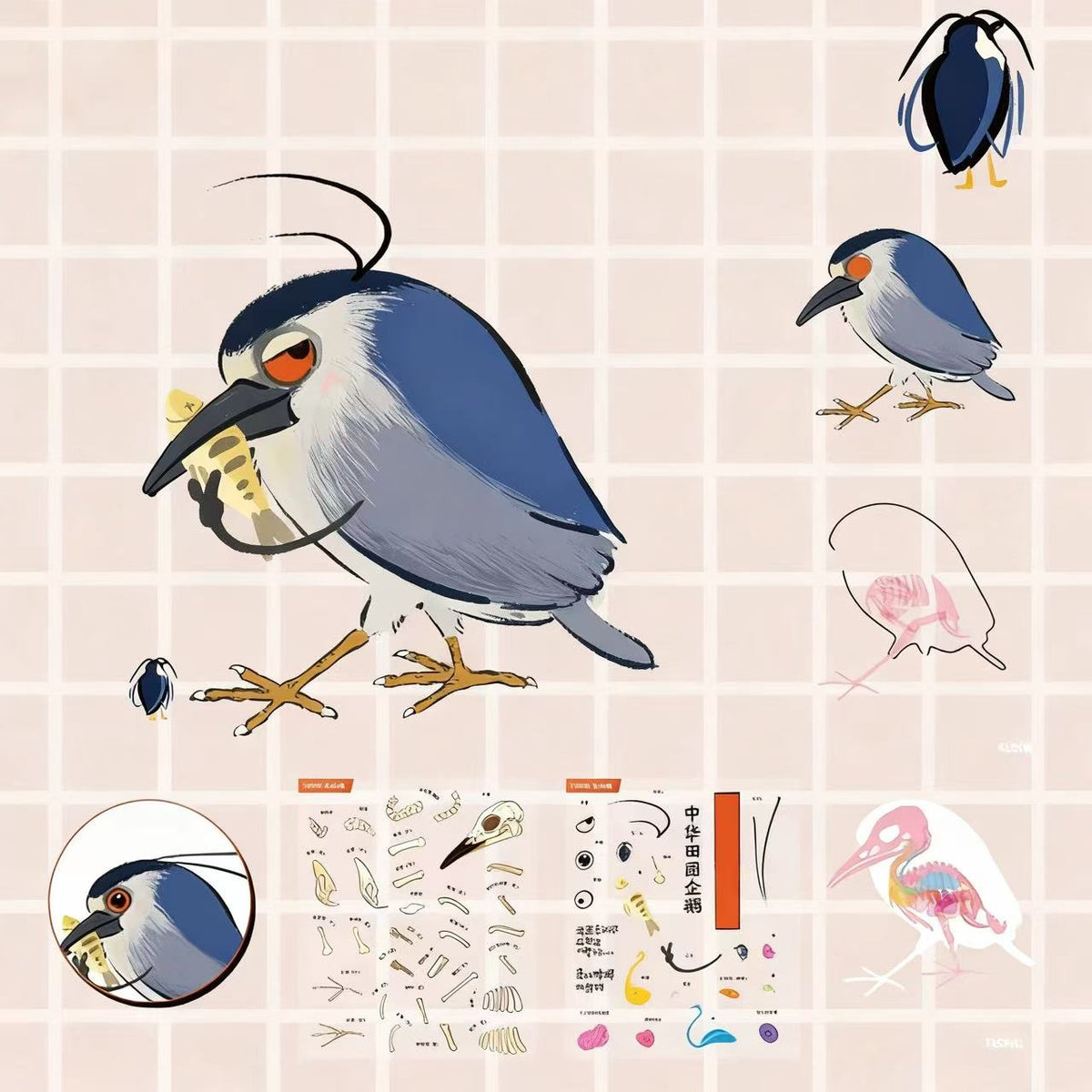 DIY Panda Dragon Bird Anatomical Restoration Stickers