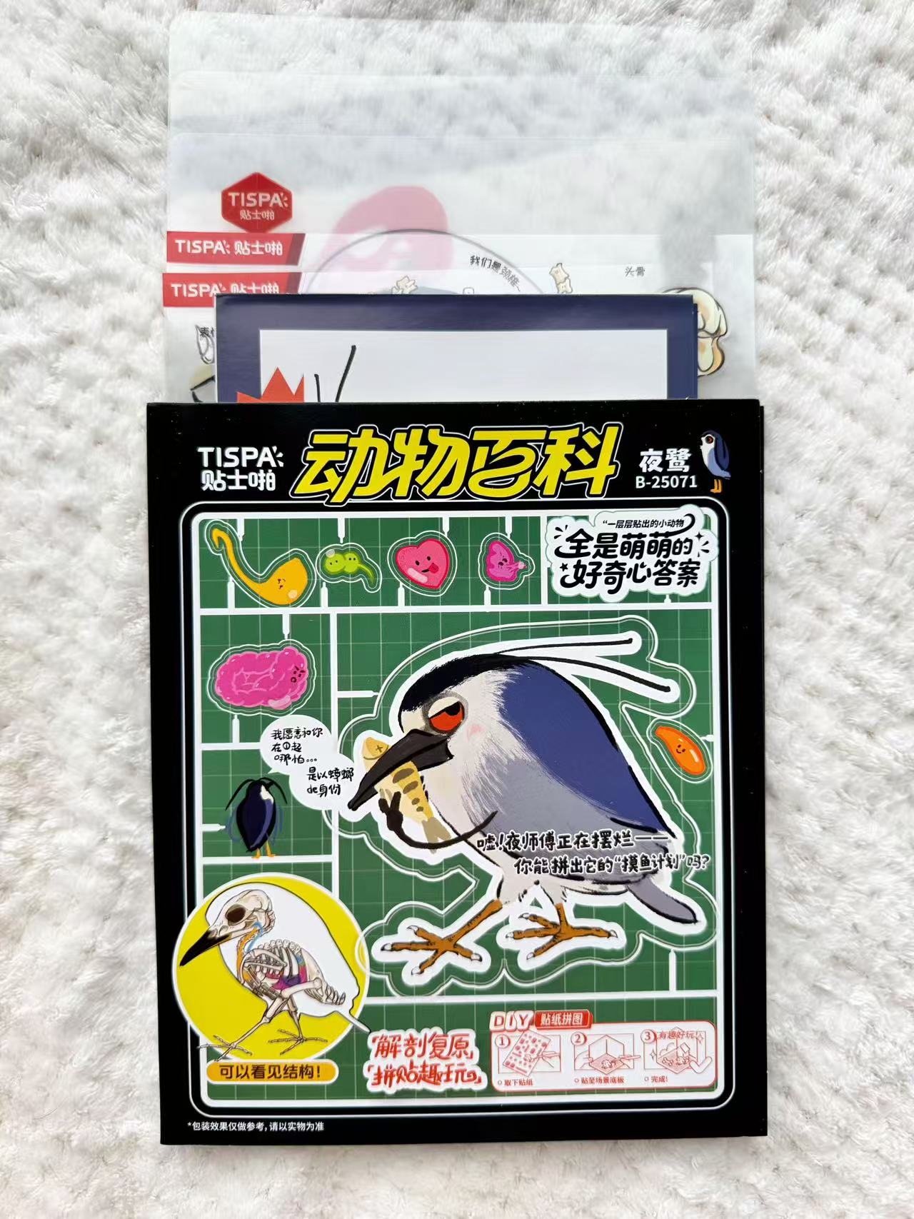 DIY Animal Dissection and Restoration Sticker Game