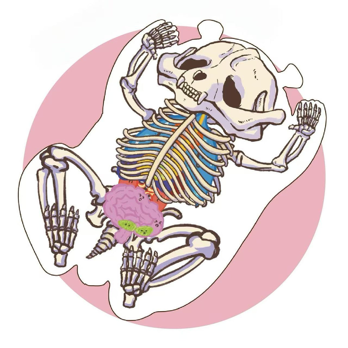 DIY Panda Dragon Bird Anatomical Restoration Stickers