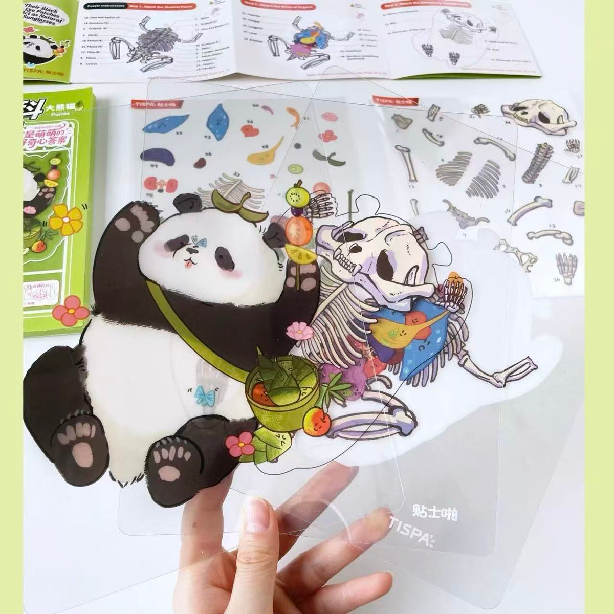 DIY Animal Dissection and Restoration Sticker Game