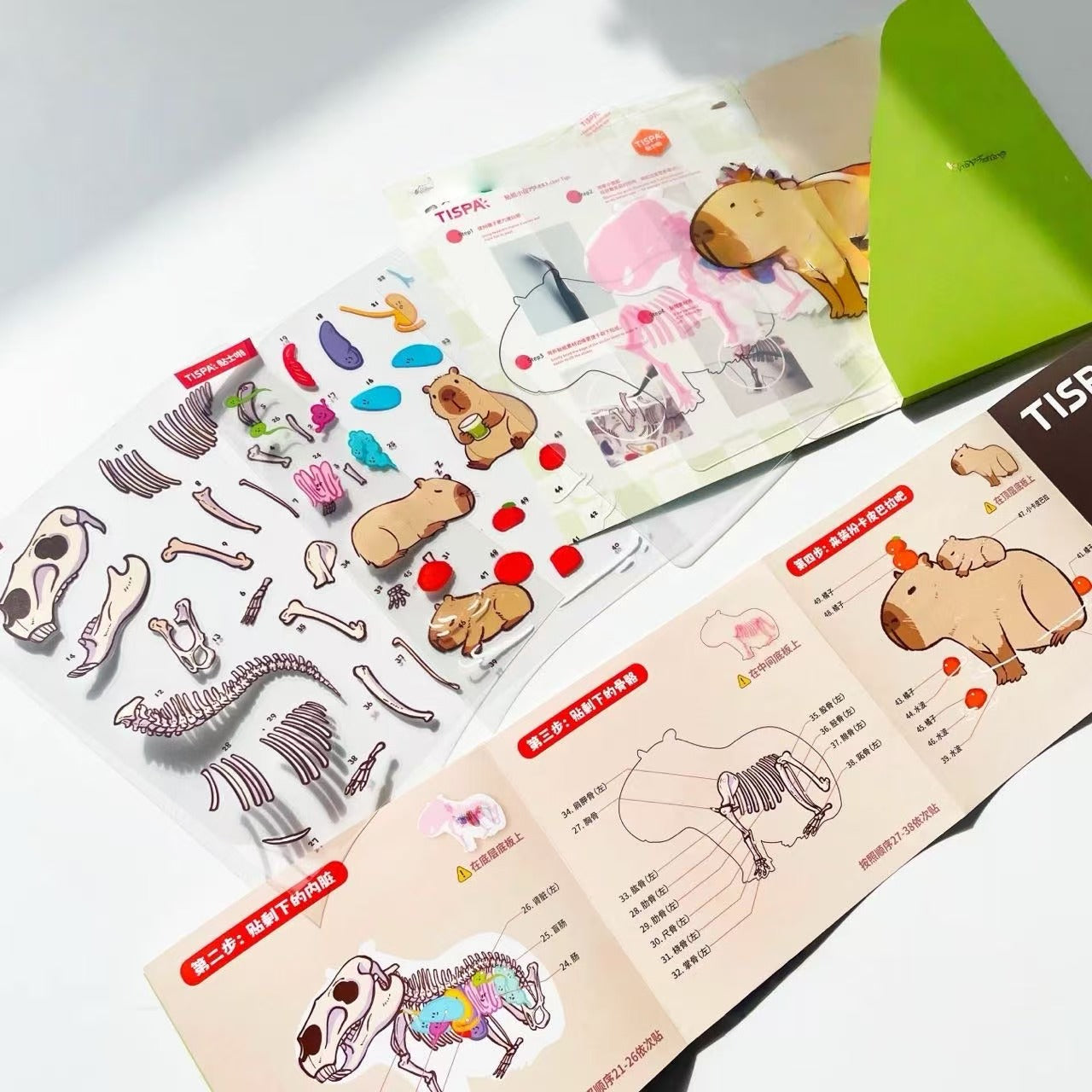 DIY Corgi Lop-eared Rabbit Seal Capybara Panda Dragon Bird Anatomical Restoration Stickers