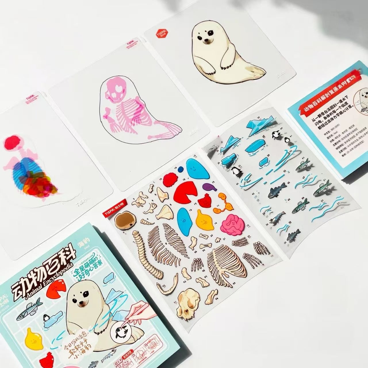 DIY Corgi Lop-eared Rabbit Seal Capybara Panda Dragon Bird Anatomical Restoration Stickers