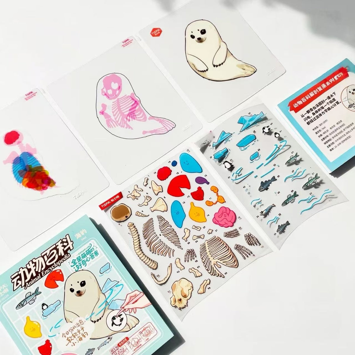 DIY Anatomical Restoration Stickers Rabbit Seal Capybara Panda Corgi