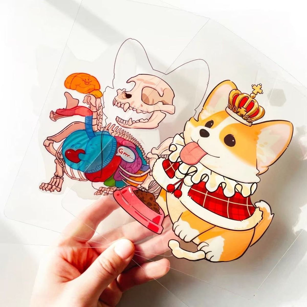 DIY Anatomical Restoration Stickers Rabbit Seal Capybara Panda Corgi